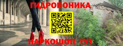 мдпв Пушкино