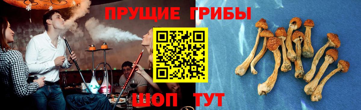Ступино  Псилоцибиновые грибы MAGIC MUSHROOMS  купить наркотик  Вход с VPN 